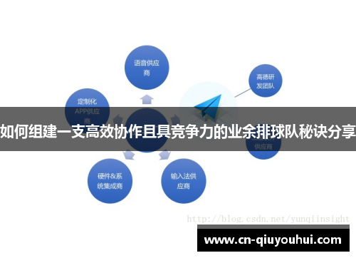 如何组建一支高效协作且具竞争力的业余排球队秘诀分享