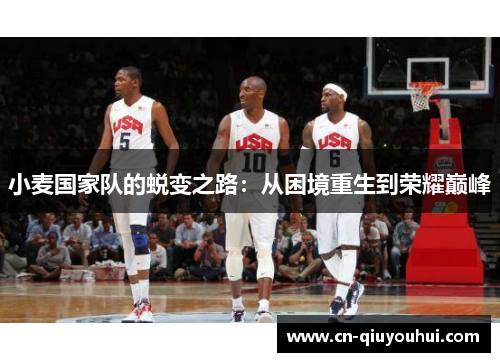 小麦国家队的蜕变之路：从困境重生到荣耀巅峰