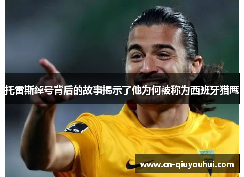 托雷斯绰号背后的故事揭示了他为何被称为西班牙猎鹰 托雷斯绰号背后的故事揭示了他为何被称为西班牙猎鹰